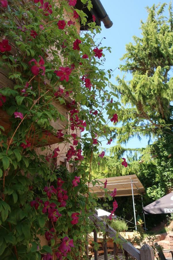 The Lamb Inn Кредитон Экстерьер фото
